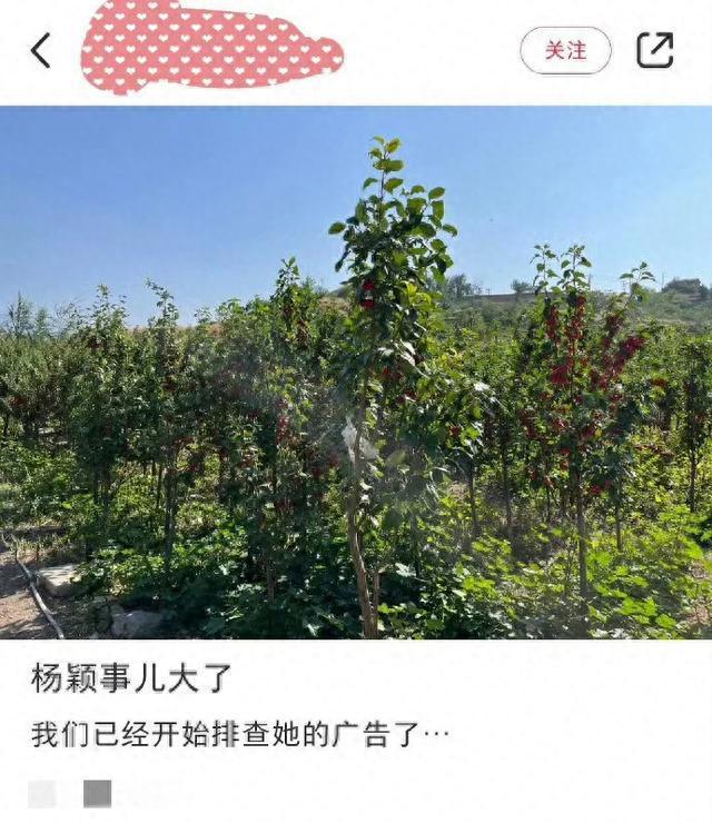 im电竞·(中国)官方网站杨颖广告代言被审网传《奔跑吧》有新人代替网友直言很难相(图5)