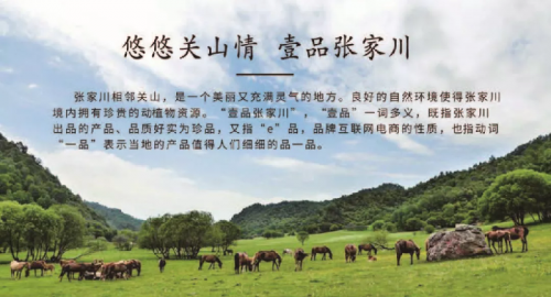 im电竞·(中国)官方网站“小而美”网络品牌优秀案例——张家川县“关陇壹品”(图1)