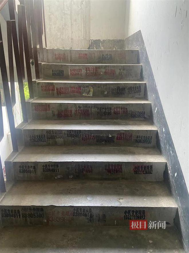 im电竞极目帮办丨“小广告”贴满居民楼道物业承诺协调清理(图3)
